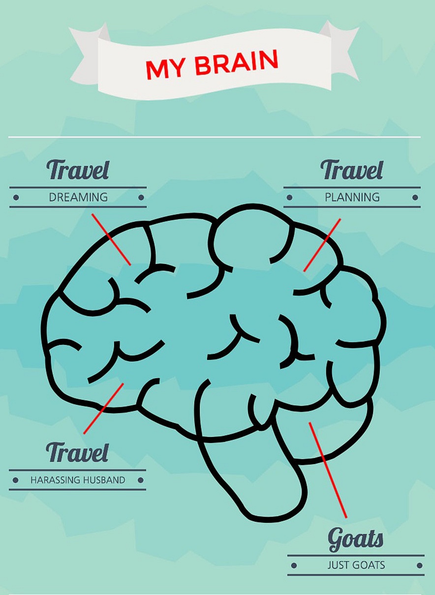 Travel brain infographic2