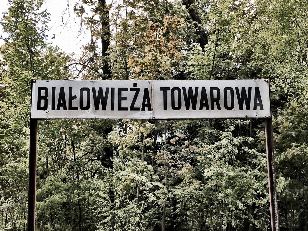 Bialoweiza train station