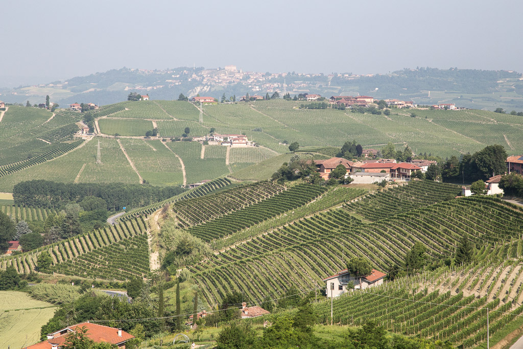 View of Piedmont wine country 