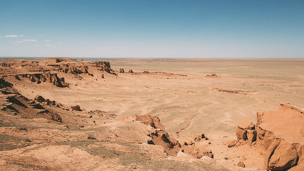 Dinosaur Bones in the Gobi Desert