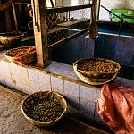 Travel to Nicaragua - Coffee beans being sorted at Cafe las Flores