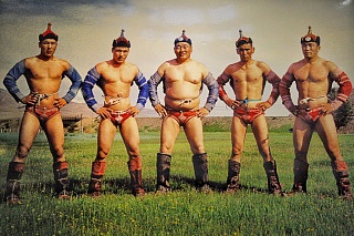 Dreamland - sumo wrestlers and men wearing Mongolian wrestling bikinis