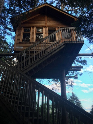Stay in a Tree House | Camping in Canada | Saguenay | Quebec 