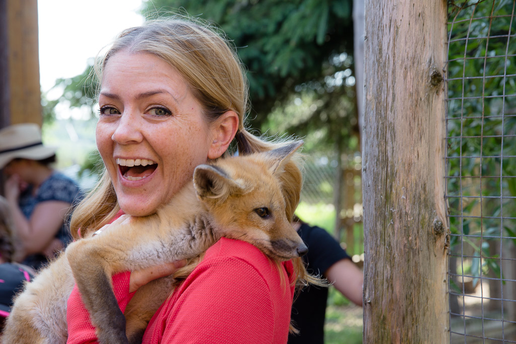 Juliana Dever baby fox Ferme 5 Etoiles Quebec Canada