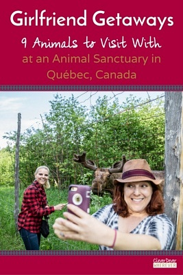 Girlfriend Getaways | Visit Animal Sanctuary | Quebec Canada | Travel Canada
