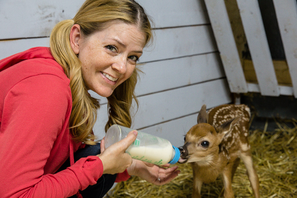 Juliana Dever feeding Baby deer at Ferme 5 Etoiles Quebec Canada