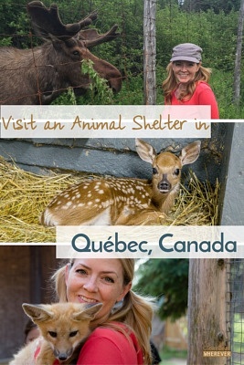 Visit Animal Shelter | Quebec Canada | Ferme 5 Etoiles | Travel Canada