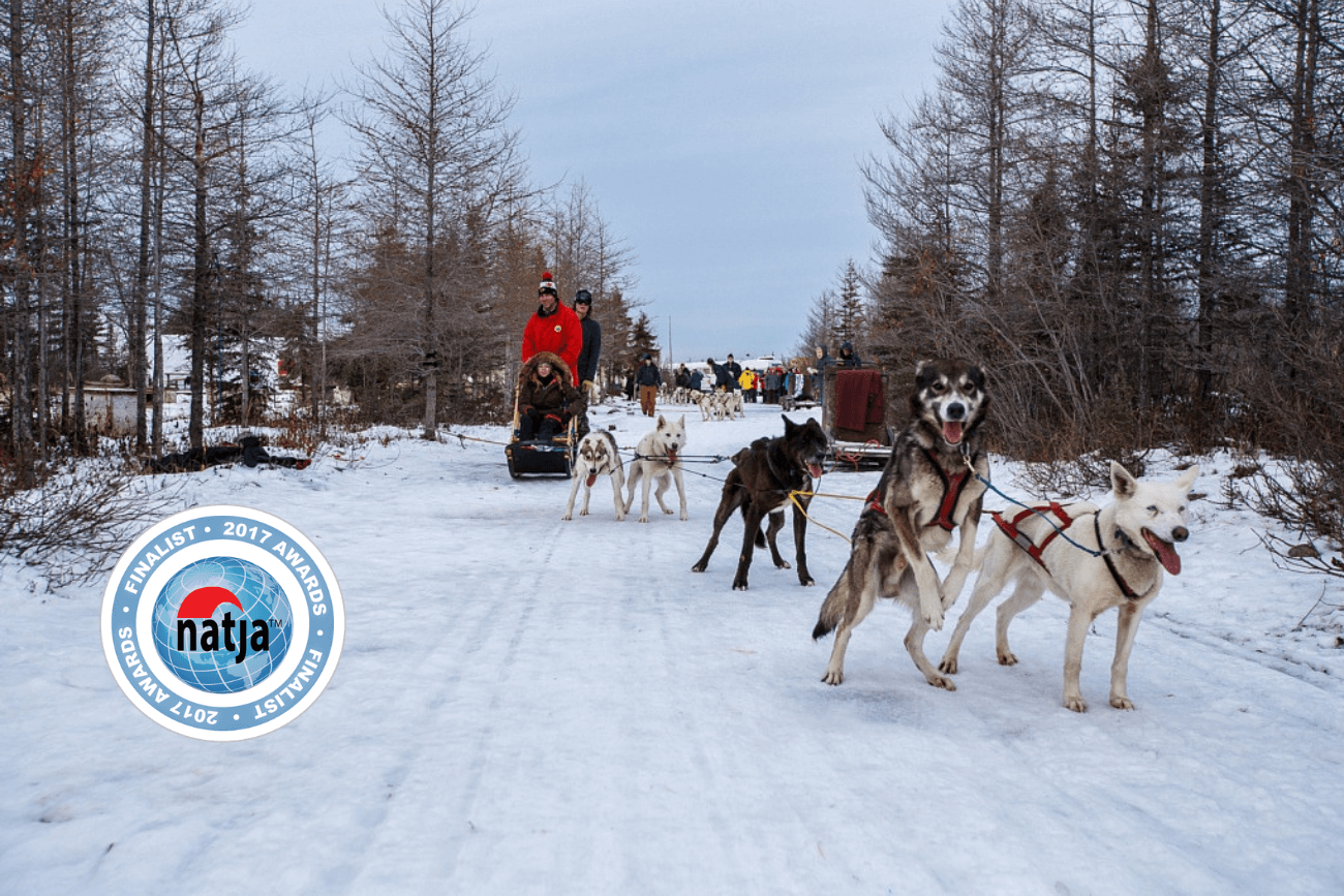 Tundra dog clearance