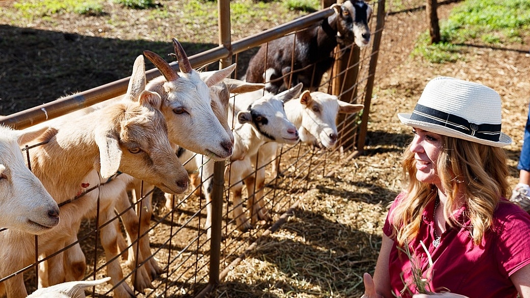 Juliana Dever Goats in Maui