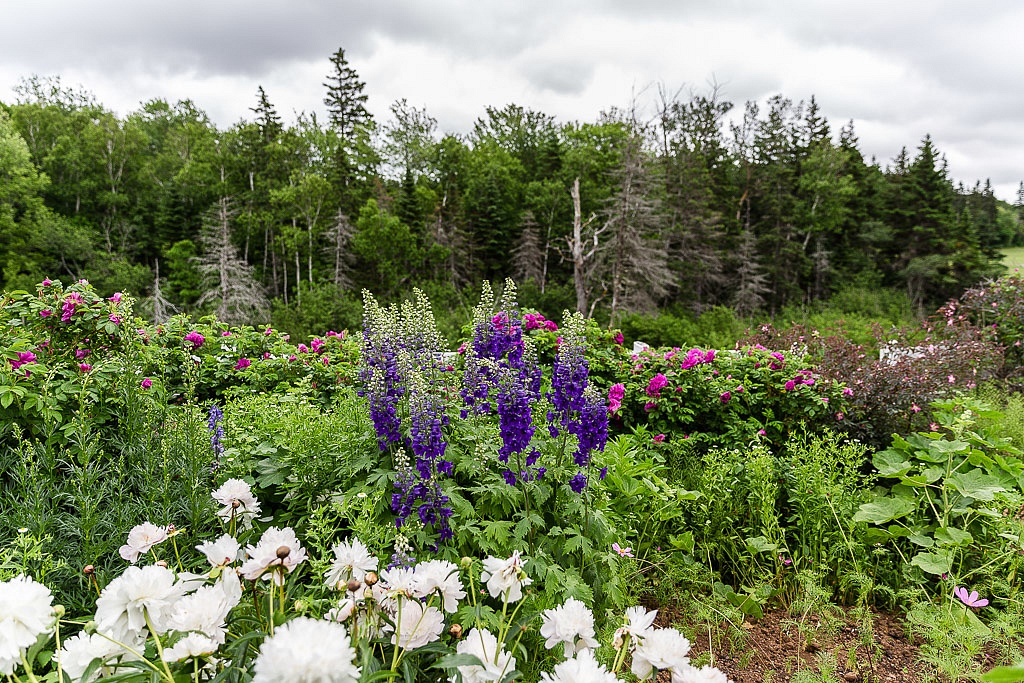 Anne of Green Gables Heritage Site - Prince Edward Island Vacation