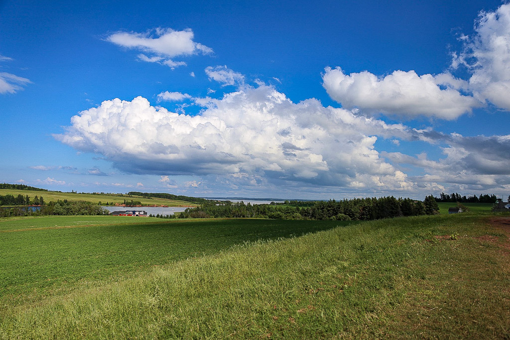 Prince Edward Island nature