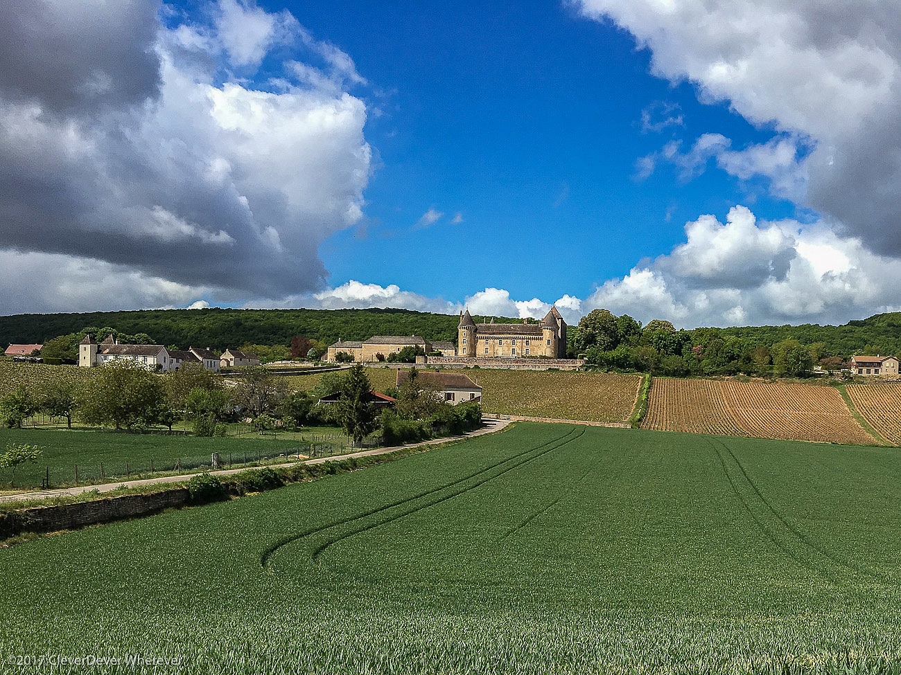 Chateau and vineyards Bike ride through Burgundy France