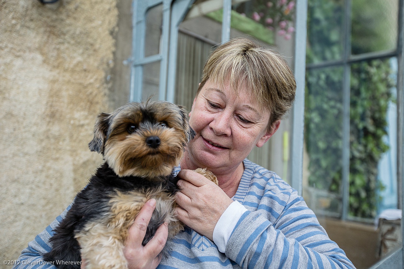 Puppy and resident along Burgundy canal cruise