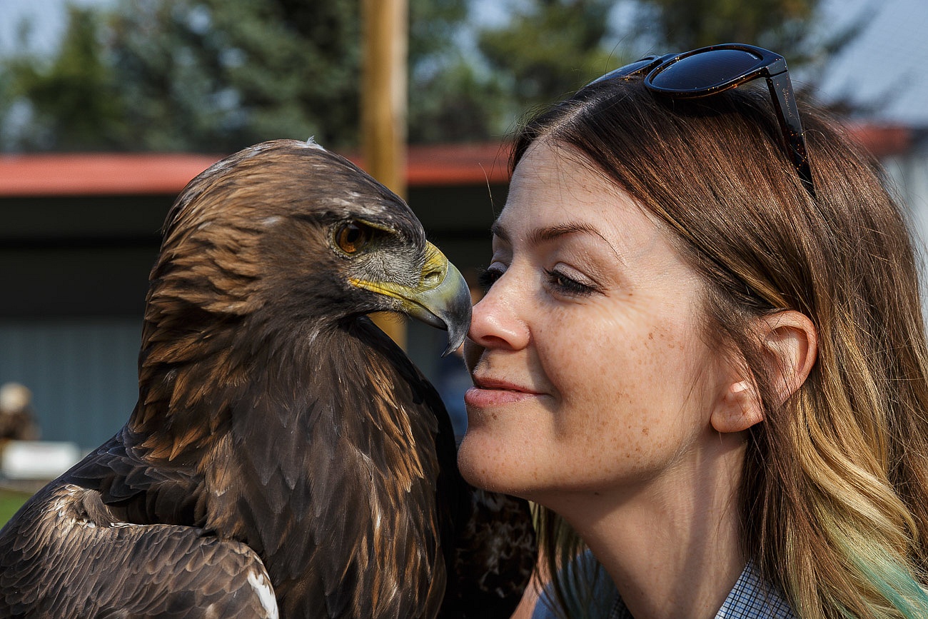 Canadian Badlands - Alberta Birds of Prey eagle Juliana Dever