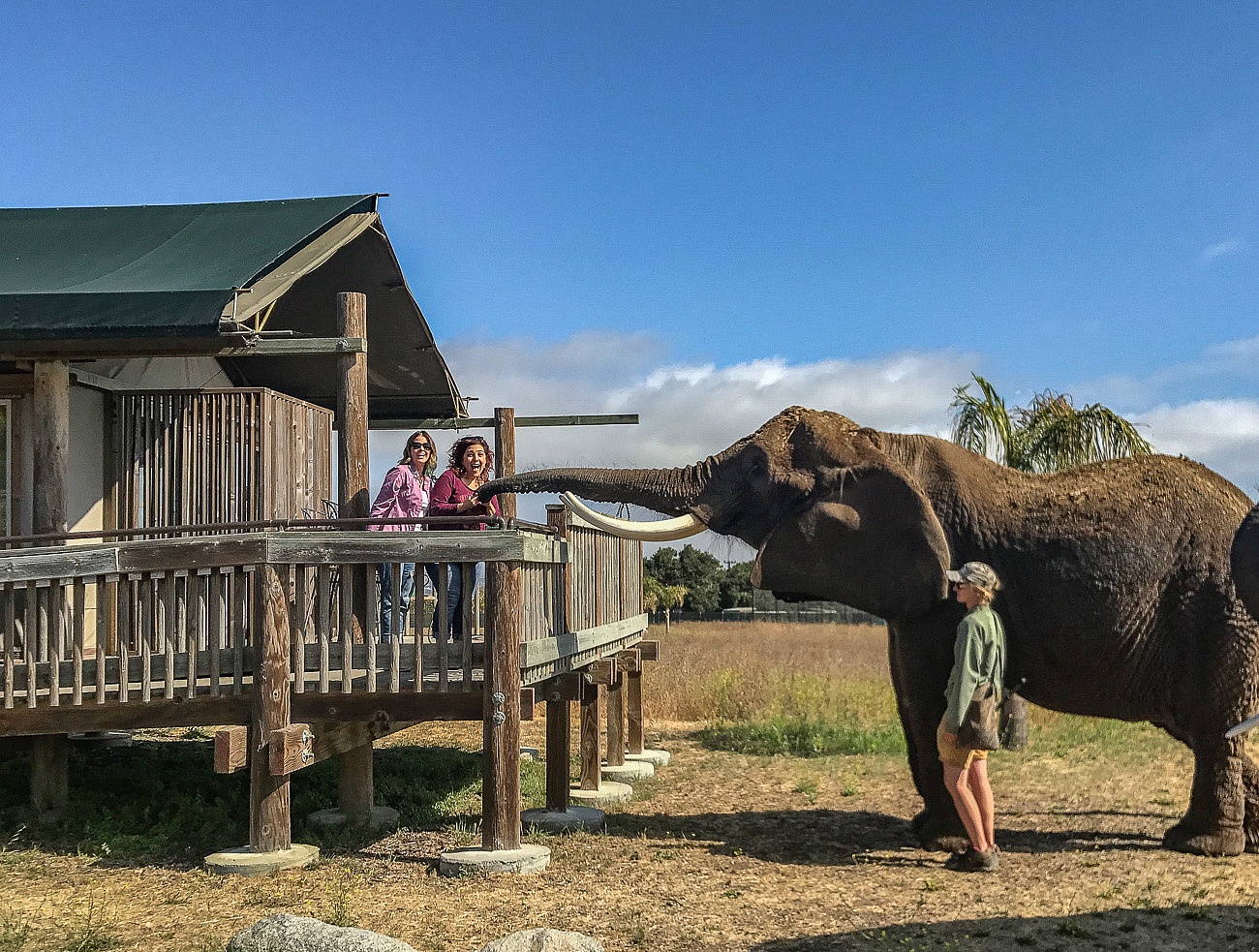 Favorite Travel Experiences - Monterey Safari Camp Rachel and Juliana Dever