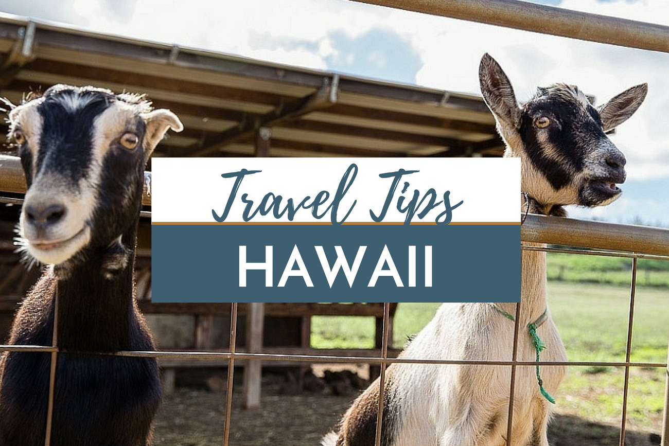 Travel Tips Hawaii