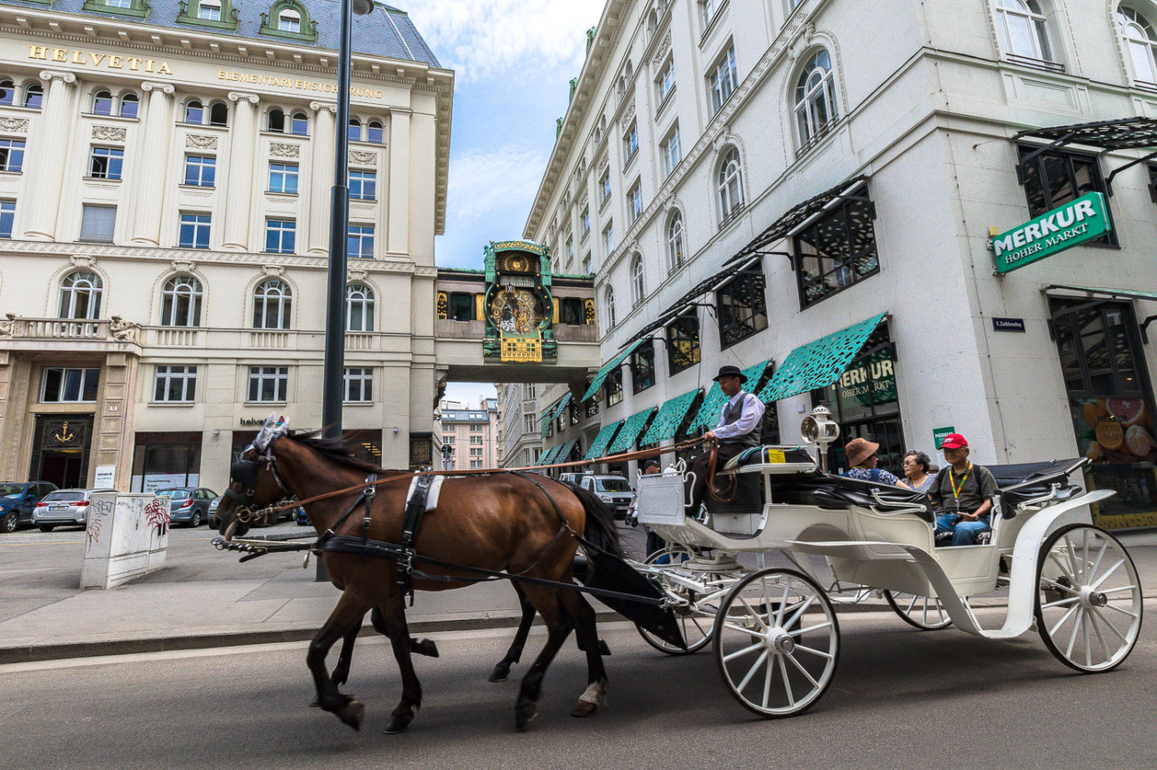 Horse Carriage through Vienna Austria