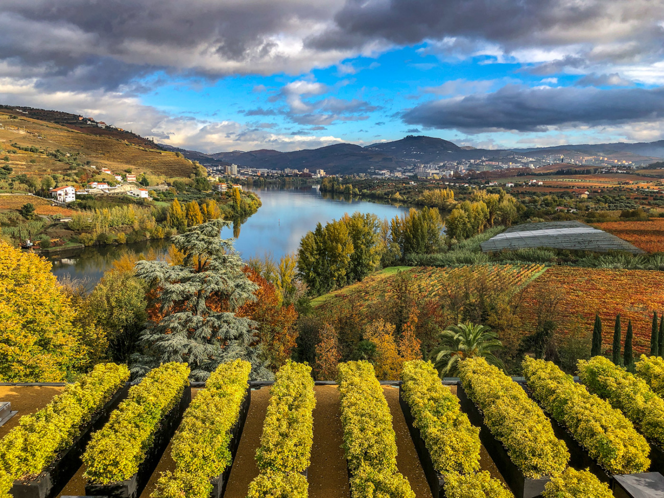 View from the Six Sense Duoro Valley