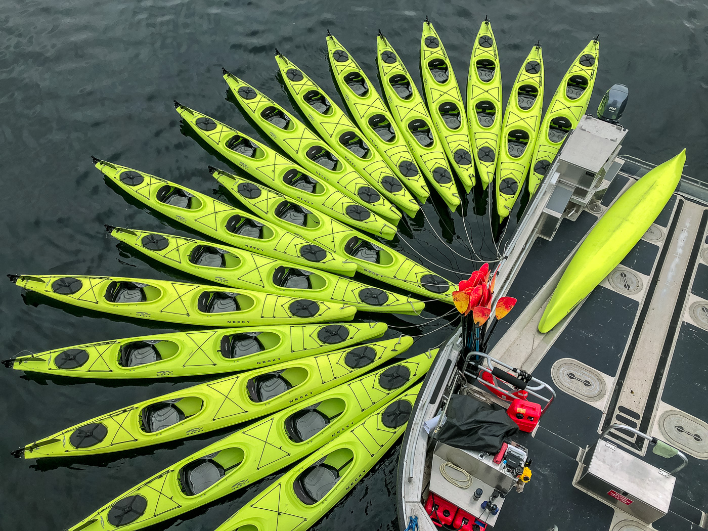 UnCruise kayak fantail during an adventure cruise